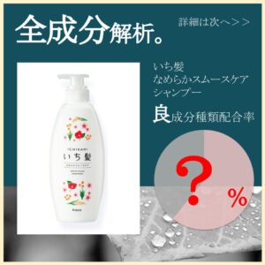 シャンプー 解析 いち 販売 髪