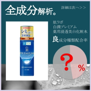 白潤 化粧 販売 水 成分